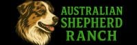 Australian Shepherd